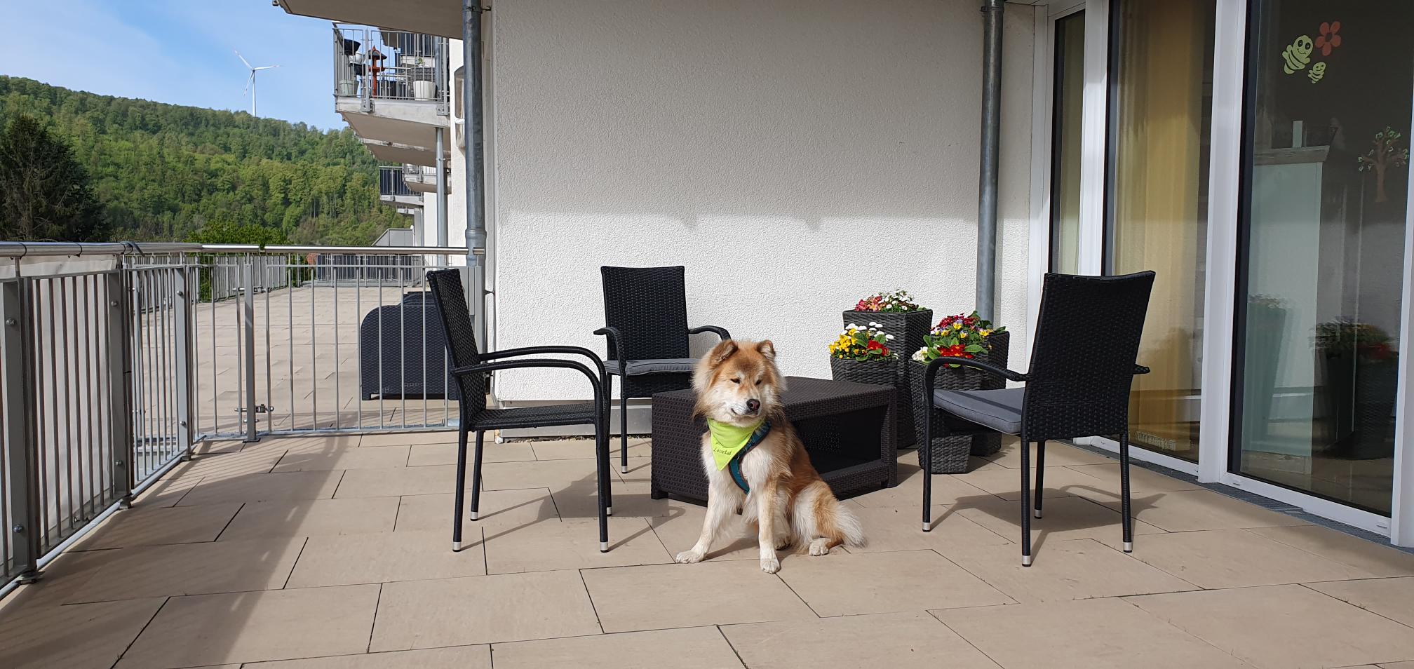 Balkon Balkon